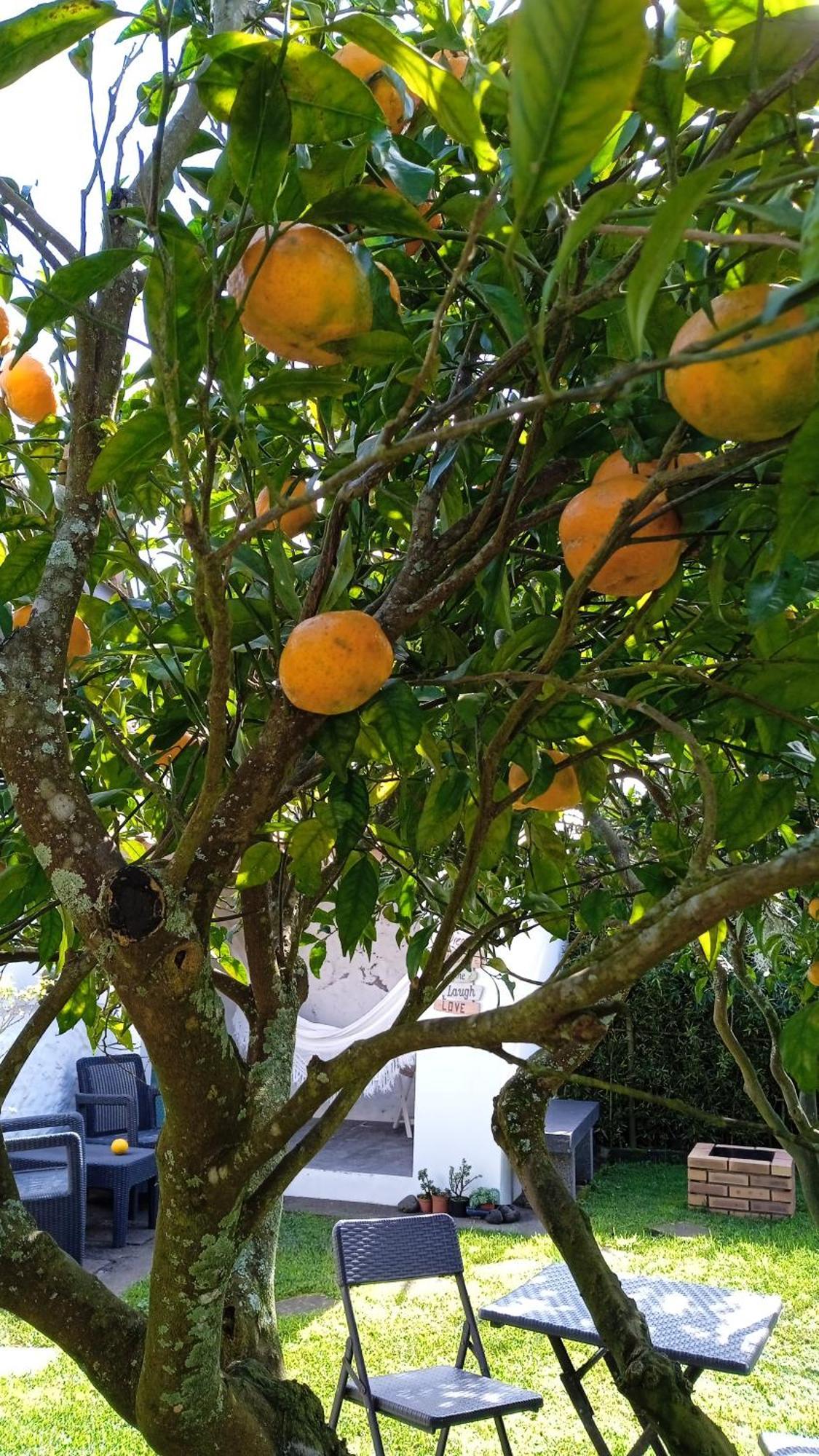 Cantinho Da Luz Hotel Ponta Delgada Kültér fotó